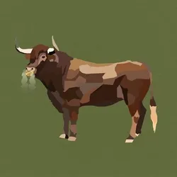 Bitcoin Bull