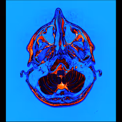 64162533542198579898252916190583583845604629893829087458582975720503738630145