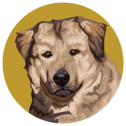 54766349128176429303044182404049584425310907481653304317570413988106937040897