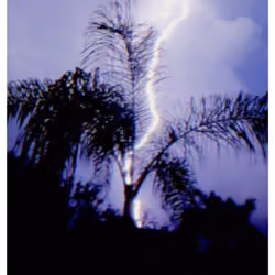 the storm – Movie Poster 5/5