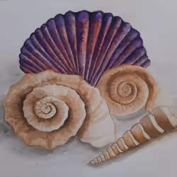 81257910070084939911306087265892870051894872720128802345631265744654709030913