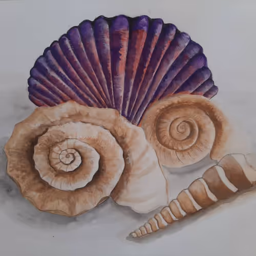 81257910070084939911306087265892870051894872720128802345631265744654709030913