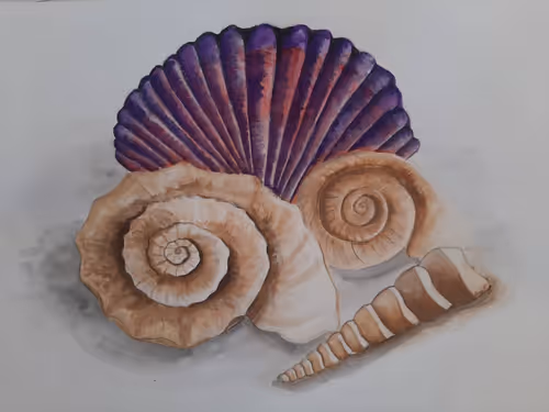 Item #81257910070084939911306087265892870051894872720128802345631265744654709030913 Media