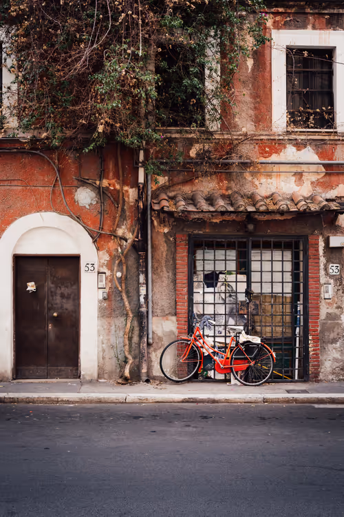 Item #17366406229194593202648770704936935496893237716448921109643338208434739740673 Media