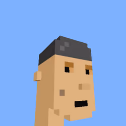 PunkVoxels #1464