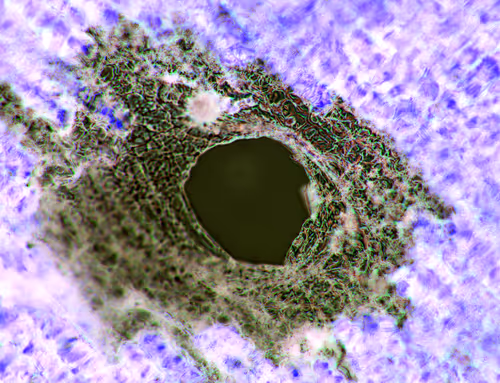 Item #71646257518770613568983710813551014237803002136866425209291833876760494080001 Media