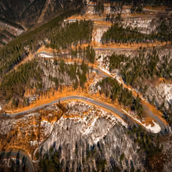 Curvy woodland roads