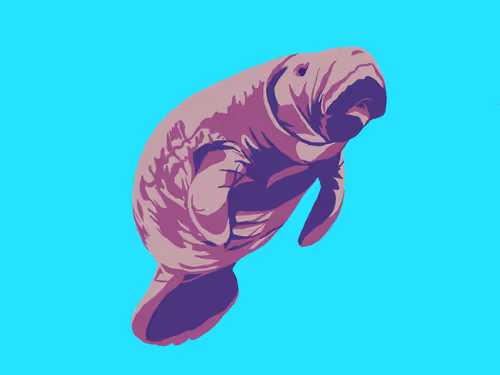 Item #86286569011672249143581902672238150923937334210812916089856769931666314493953 Media