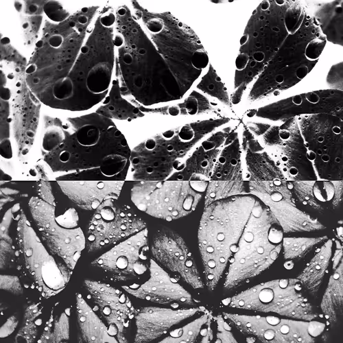 Item #16242110343075384695976872511431893746584995890381912354078390080001414266881 Media