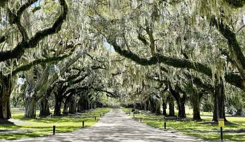 Item #60286361363657250857601775030637471218171117852543341295073304066827566972929 Media