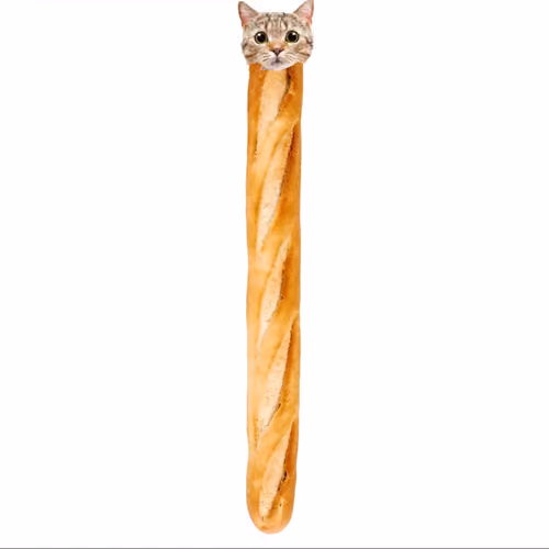 bacatte