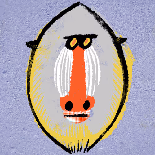 Item #85958577837238121956904946146282691386583578196809181446220191452502155067393 Media