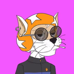 The Crazy Cat Club #0315