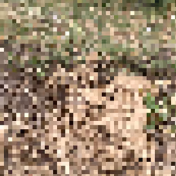 2850415134272365380187775685678842410458265265709128331682257528266002792449