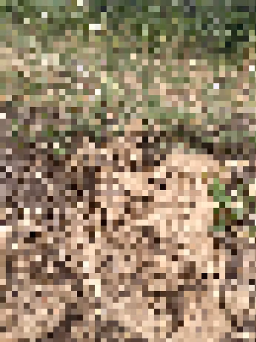 Item #2850415134272365380187775685678842410458265265709128331682257528266002792449 Media