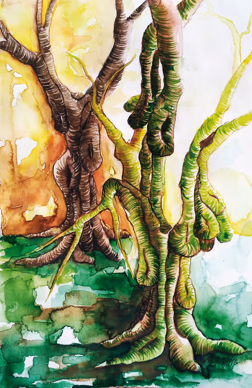 Item #73344577178846438114199699279877756149678730933278830792301650584226725101569 Media