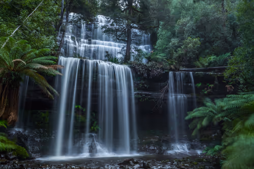 Item #11717075435639617062538583051799023982813876484308334407242089907472299982849 Media