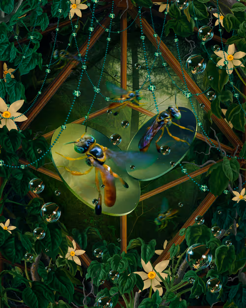 Item #52157283746525259542450048435420026544825586665161748575613848751287467769857 Media