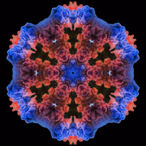 Item #105598432229104396590244618898353407233161156696249513419484439843721858514945 Media