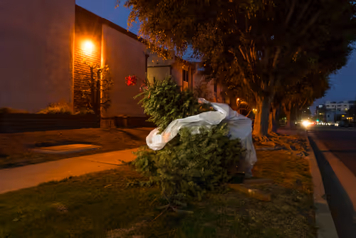 Item #97596376492587480991564299989885194485729582935183473269224319370669468942337 Media