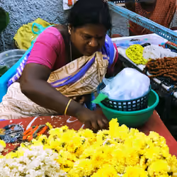 Flowers at Market