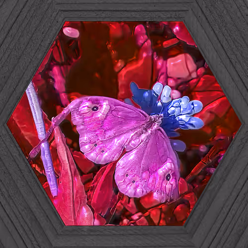 Item #19115886294448247408636390479007434719599239311134408839063466961323046207489 Media