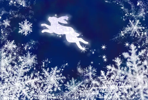 Item #49543221765173905469086434254543082575420429147691128671322516235180979519489 Media