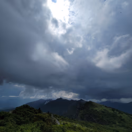 Untitled Collection #102424529