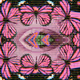RadioactiveButterflies