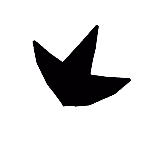 rta_agency Collection