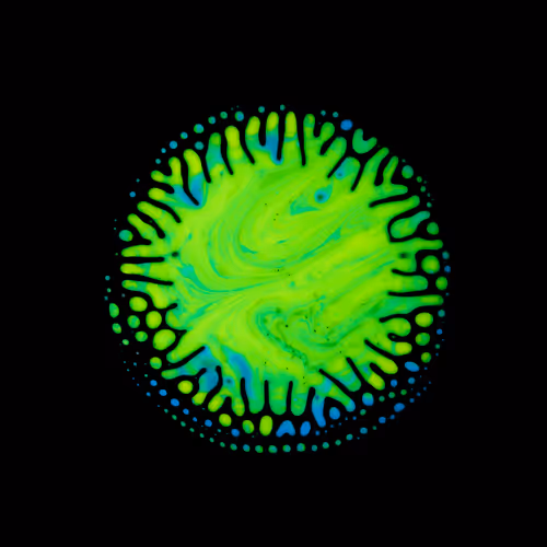 Item #39853347361311550538823328626004824816221754573894422864413753297804808159233 Media