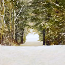 A wintry Road