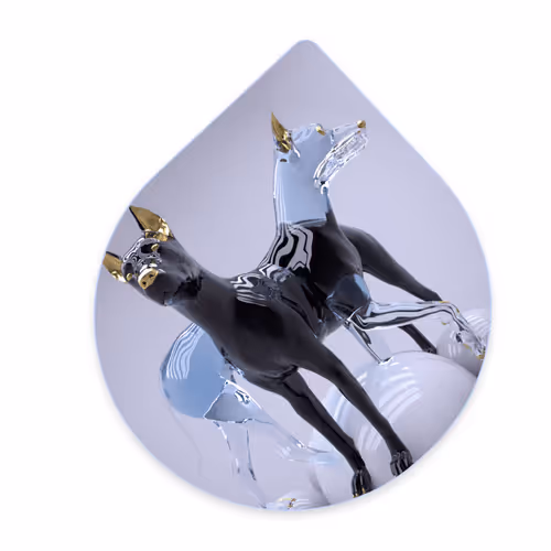 HOPE DROP #1 on longevity