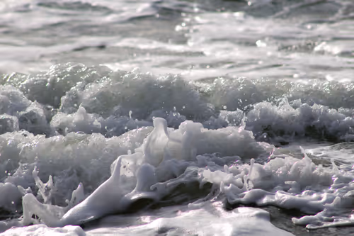 Item #110563264937173630415102547684714144673786021135482478862181301883415115595777 Media