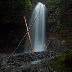 Sticks