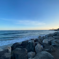 The Coast