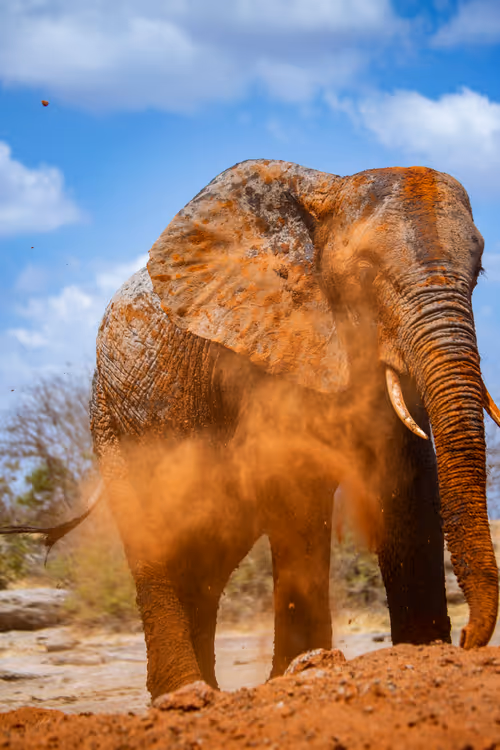 Item #97390858549290517915673057044451120522321858296040786888435299464995980443649 Media