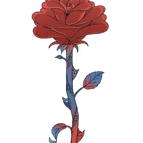 eduardmsmr Collection