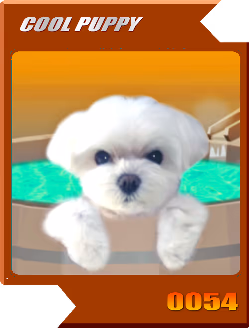 Item #21477548388787063266658748687199700189937005018840532589754440403014970769409 Media