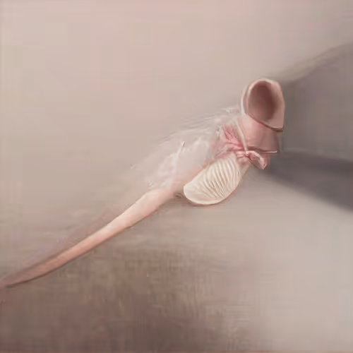 Item #81389452228015721923544690746270190594299388963234071450728086173881024380929 Media