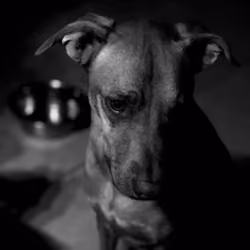 Ellie B/W #9