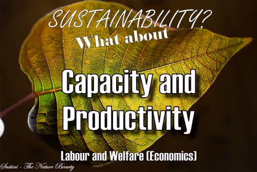 Item #93613396688638017464317025240290185264434684879039933742438229002568735916033 Media