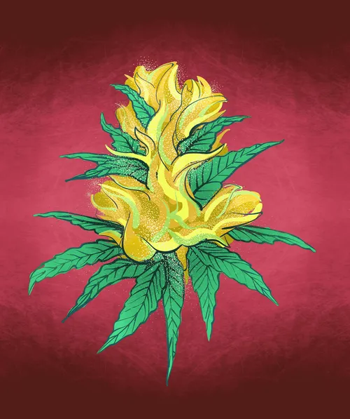 Item #88173920956366532206384104525204378846175092179682069740847406043048957706241 Media