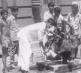 Item #65629298391447474271349290825881849632540670072734204406438730665080771313665 Media