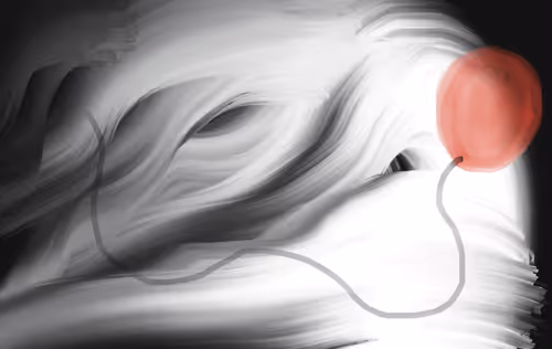 Item #60693966198811347281802693459332551875545710956117693152909576821858489073669 Media