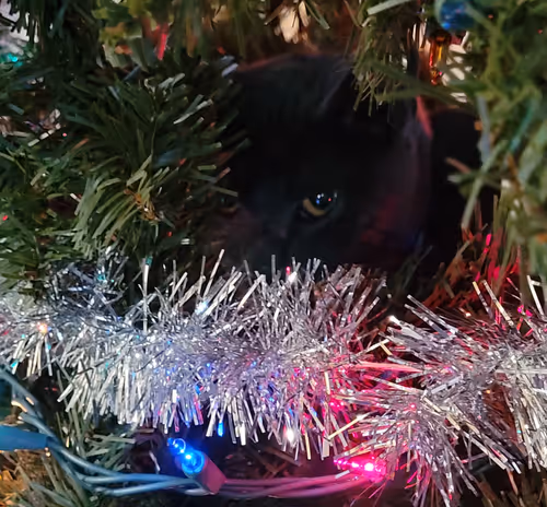 Item #65060042108644582213581044861185257921099202751223028038730296730168726650881 Media