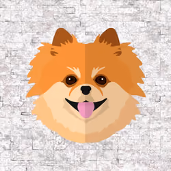 SPITZ - #0079