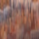 102251779223106617299938801914744800352548015688048668500804852723433433202689