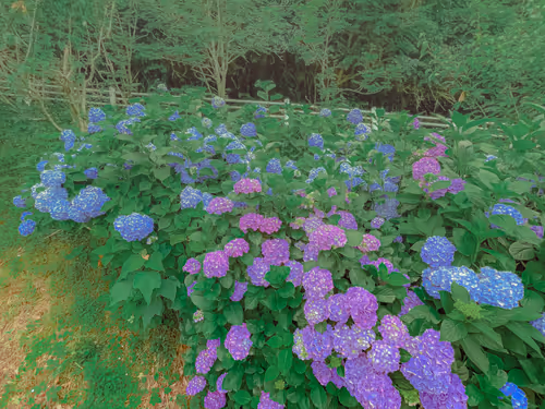 Item #26309083901545567454709889211670292098627789932924015051489478937185192247301 Media