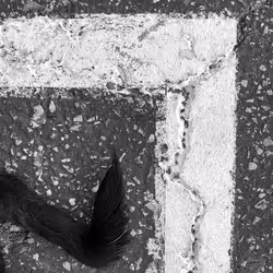 56431751608181922231259635946092067407977788553703326303680802295357571596289